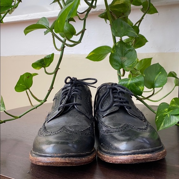Frye Other - Frye James Wingtips🌊